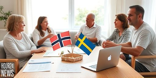 Norgepris Popularity in Norway and Its Possible Impact on Swedish Electricity Prices