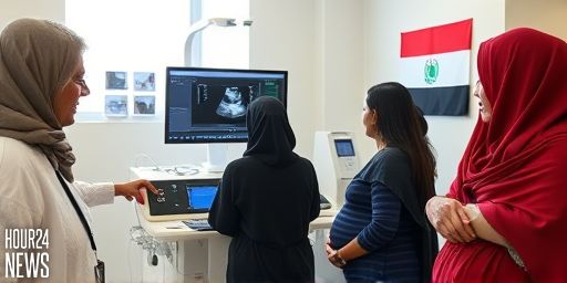 First Trial of Fetal Cardiac Nomograms in Northeastern Egypt: Establishing GA-Specific References (14–36 Weeks)