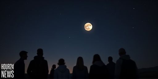Io and Europa Cross Jupiter: October 11 Sky Event