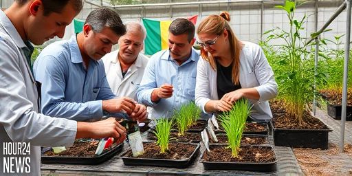 NUS-SCELSE researchers uncover hidden plant-microbe strategy that boosts crop growth under nutrient stress