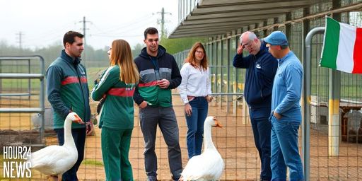 Bird Flu Detected in Captive Birds at Fota Wildlife Park: What It Means for Ireland