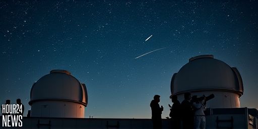 Since 60 Years: Understanding Quasi-Moons and Their Silent Orbit