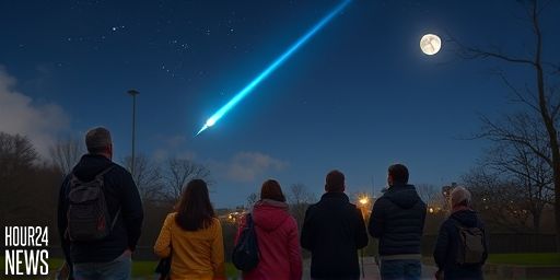 Meteor streak over UK city lights up night sky: stargazers stunned