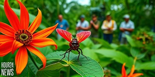 Flag-Waving Bugs Reveal Surprising Anti-Predator Strategy