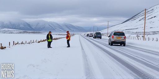 Snow Closes Roads and Triggers Power Outages Across New Zealand