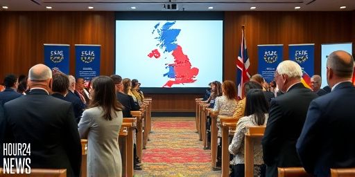 Conservatives pledge to remove 750,000 migrants from UK