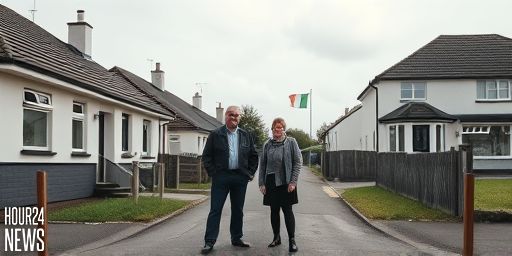 Living Next Door to Hell: A Wexford Resident’s Nightmarish Battle with Anti-Social Tenants