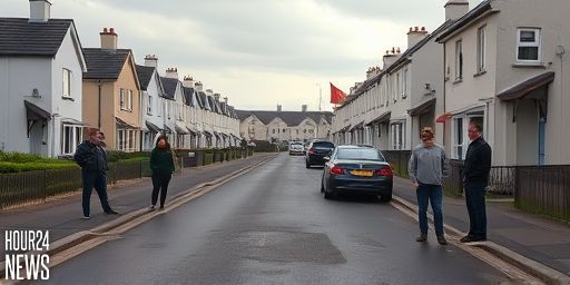 Neighbours from Hell: A Wexford resident’s warning about anti-social tenants