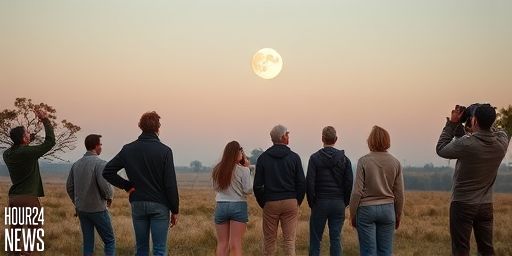 Australia’s Harvest Moon and a Season of Supermoons: When to Watch and Why they Happen