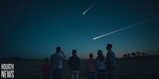 Orionids 2025 Meteor Shower: Halley’s Comet & New Comets Light Up the Sky