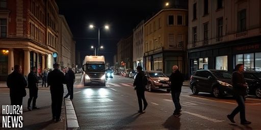 Pedestrian Dies After Truck Collision on Dame Street in Dublin City Centre