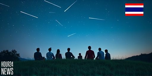 NARIT Invites Stargazers to Watch Spectacular Orionids on Oct 21
