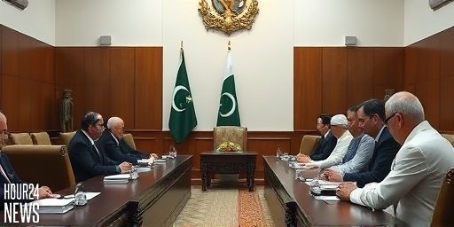 K-P Cabinet Approves Withdrawal of May 9 Vandalism and Firing Cases in Mardan