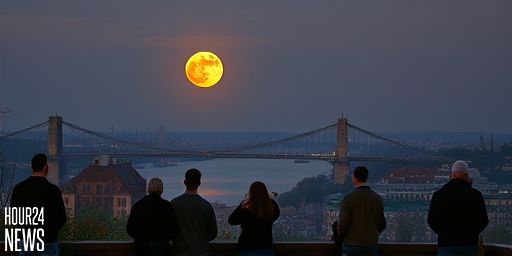 October’s Harvest Moon: Stunning Supermoon Photos Brighten Night Skies