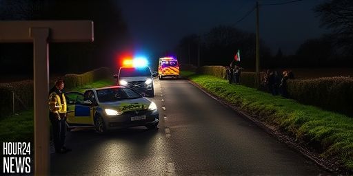 Tragedy in North Cork: Teenager Dies After Car Losses Control in Newmarket Collision