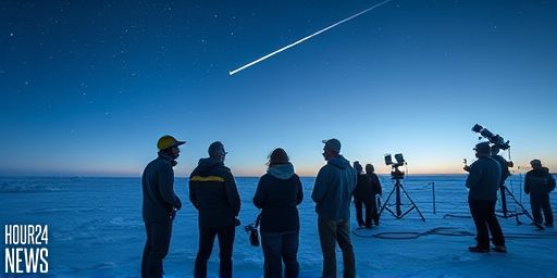 Sneaky Asteroid Slides Past Antarctica Undetected for Hours