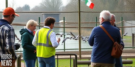 Bird Flu Outbreak Shuts Fota Wildlife Park as Officials Respond