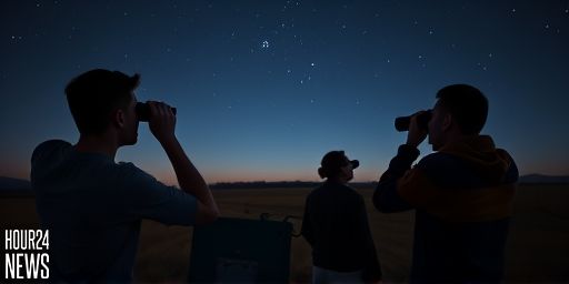 Complete Guide To Seeing Comet Lemmon This Week Close To The Big Dipper