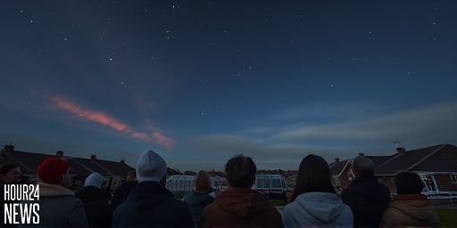 Glowing Mystery Over Dublin Airport Revealed: Not the Northern Lights but Keelings’ Greenhouse Lamps