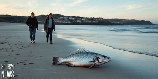 Rare Ocean Sunfish Washed Up Off Donegal Coast: A Quiet Wonder from Irish Waters