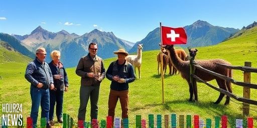 Bern Wolf Attack on Llamas in Hasliberg Sparks Urgent Calls for Action