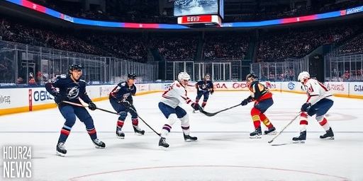 Moser and Sabourin Set for NHL Player Safety Hearings Over Panthers Game Incidents
