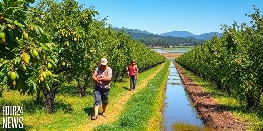 Ord Valley’s northern food bowl dream fades under climate and cost pressures