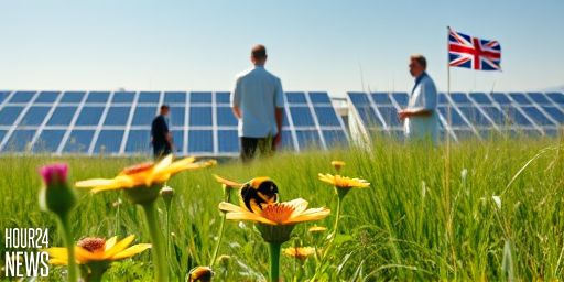 Solar Farms Could Boost UK Bumblebees: New Study