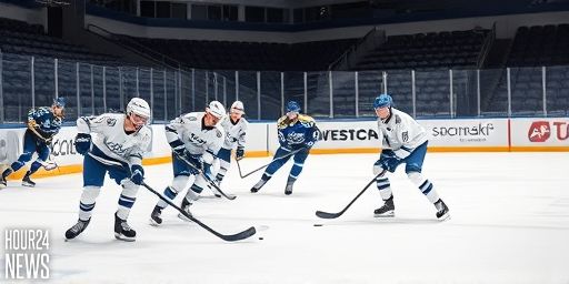 Individual Mistakes Cost Örebro HK Against Malmö Redhawks