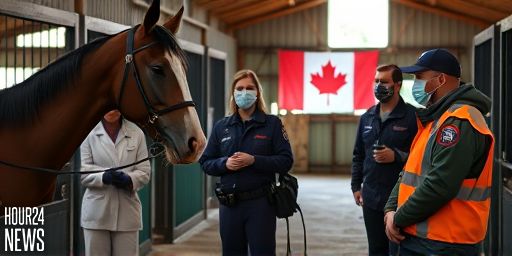 West Nile virus confirms positive horse in Greater Sudbury: What you need to know