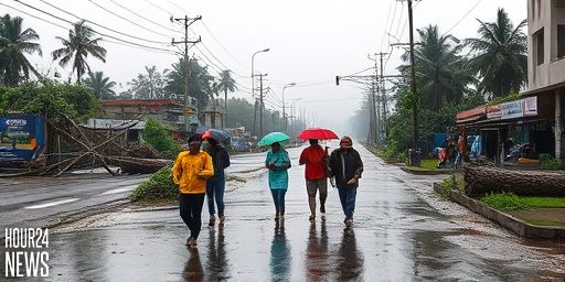 AP Rain Alert: Schools Closed as Cyclone Crosses Coast