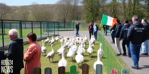 Bird Flu Shuts Fota Wildlife Park as H5N1 Confirmed in Ireland
