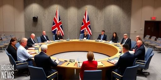 Senior minister says Jonathan Powell had no role in China spy case drop
