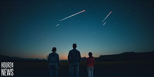 Orionids Meteor Shower: NARIT Invites Thais Oct 21