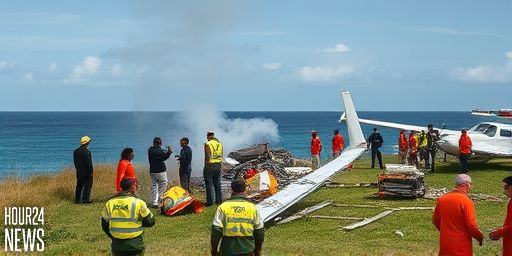 Plane Crash Near Kenya’s Coast Leaves 12 on Board: Investigations Underway