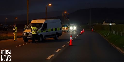 Wexford Crash: Van and Jeep Collision Leaves Man Dead