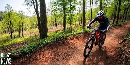 Norco Sight VLT CX: A Bosch-Powered, High-Pivot E-MTB Game Changer