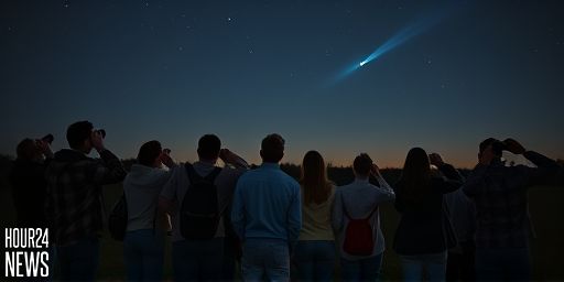 Complete Guide To Seeing Comet Lemmon This Week Close To Big Dipper