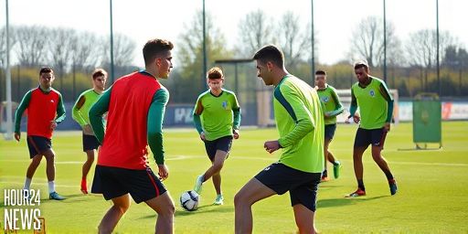 Ferry earns first Ireland call as Szmodics and O’Dowda withdrawal reshapes Ireland squad