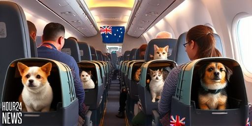Australia’s Pet-Friendly Flights Take Off: What to Know for In-Cabin Cats and Small Dogs