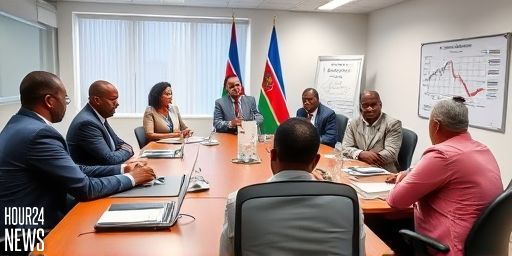 Namibia Health Ministry Pushes Higher Tobacco and Alcohol Taxes