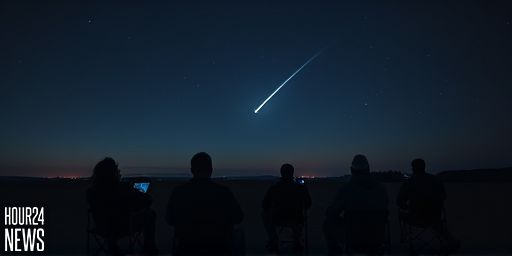 Leonid Meteor Shower Peak: Bright Fireballs Under Low Moonlight