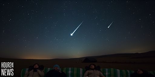 What to Expect from the Leonid Meteor Shower Peak Next Week