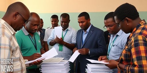 AU Observers Say Tanzania Election Did Not Meet Standards, Citing Ballot Stuffing