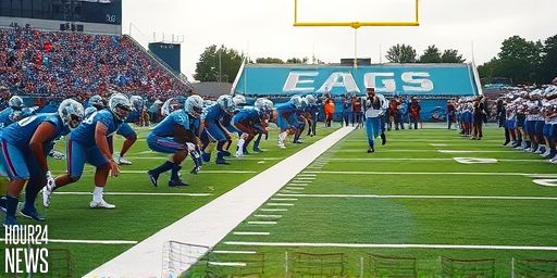 Lions Week 11 Snap Counts: Front Seven vs Eagles Run Game