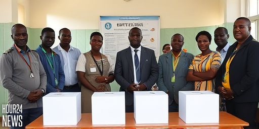 AU Says Tanzanian Election Fell Short of Standards Amid Ballot Stuffing Claims