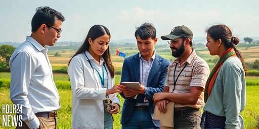 Microsoft Unveils Project Gecko: Building Inclusive AI for Underserved Communities