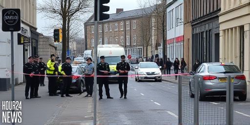 Hatchet and Knife Recovered After Violent Disturbance in Clondin (Dublin)