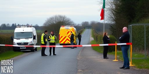 Man Dies in Road Crash in Co Carlow