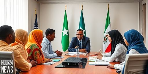 Somalia President Directs Urgent Finalisation of 10,000-Teacher Recruitment